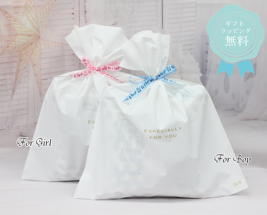 【選べるデザインフォント】スタッキングポーチ3点セットBaby Blue Gingham